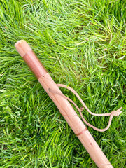 Grounding Walking Stick: Ground Directly Through Your Hands!