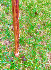 Grounding Walking Stick: Ground Directly Through Your Hands!