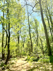 Spring Grounding Retreat March 13 - 16, 2025: Private Retreat Center in NC