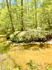 Spring Grounding Retreat March 13 - 16, 2025: Private Retreat Center in NC