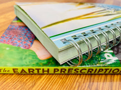 Grounding & Wellness Journal: An Instant Healing Plan