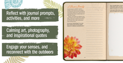 A Guided Journal to Help You Reconnect with the Power of Nature