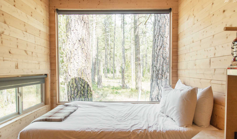 Fall Grounding Retreat Nov 9 -11, 2025: Your Own Private Cabin in NC