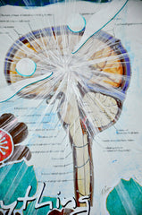 Live In Possibility, Adaptable