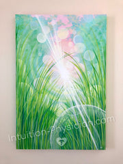 Home: Relax and Reboot