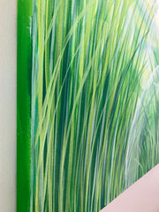 Home: Relax and Reboot