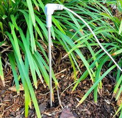 Organic Grounding Throw Blankets: New Size Options!