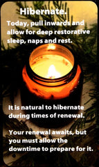 Dr. Laura's Daily Healing Focus Cards: A Daily Dose Of Health