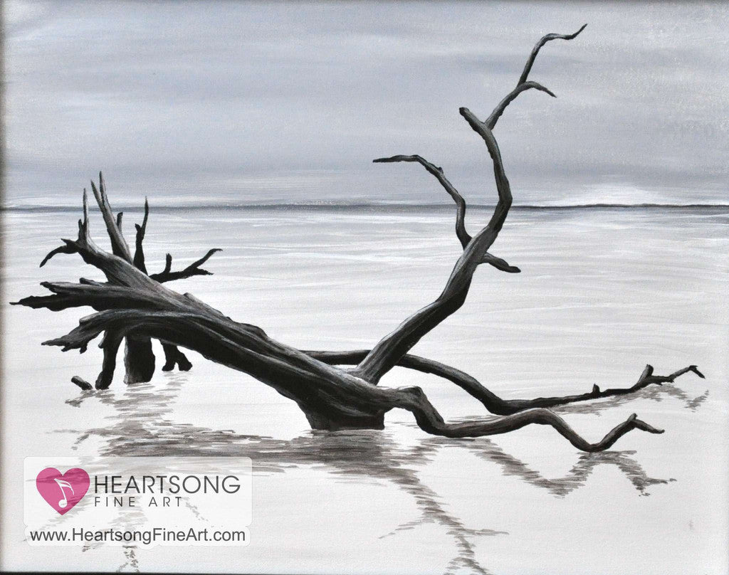 Magic In The Mist: Driftwood, Giclee Print