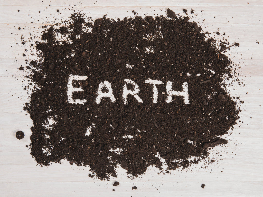 Earth Connect Online Grounding Class: Dec 2 - 13, 2024