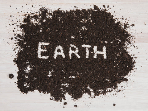 Earth Connect Online Grounding Class: Dec 2 - 13, 2024