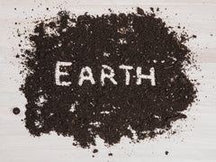 Earth Connect Online Grounding Class: Dec 2 - 13, 2024