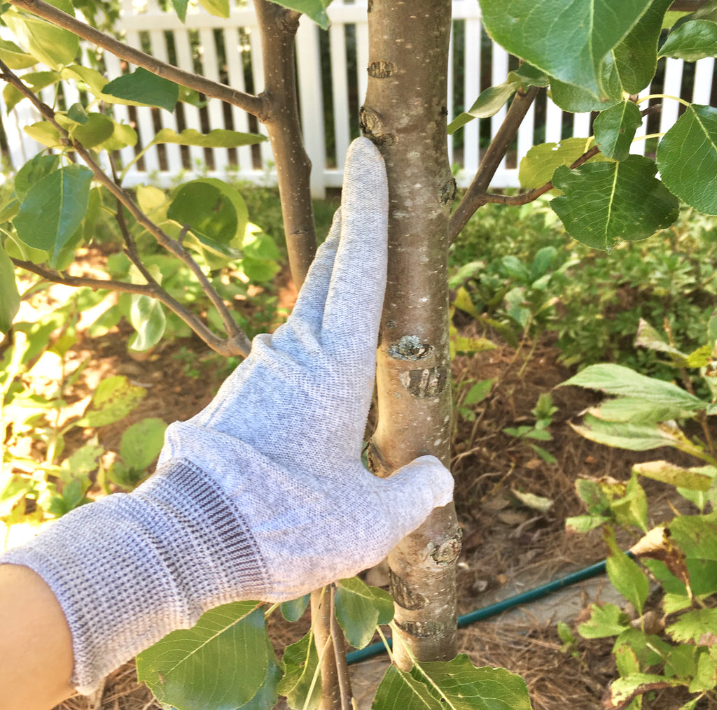 Silver Gloves: naturally conductive