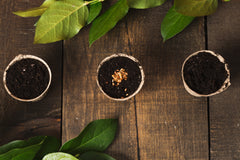 Earth Connect Online Grounding Class: Dec 2 - 13, 2024