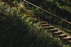 Trauma Recovery & Resilience Online Class