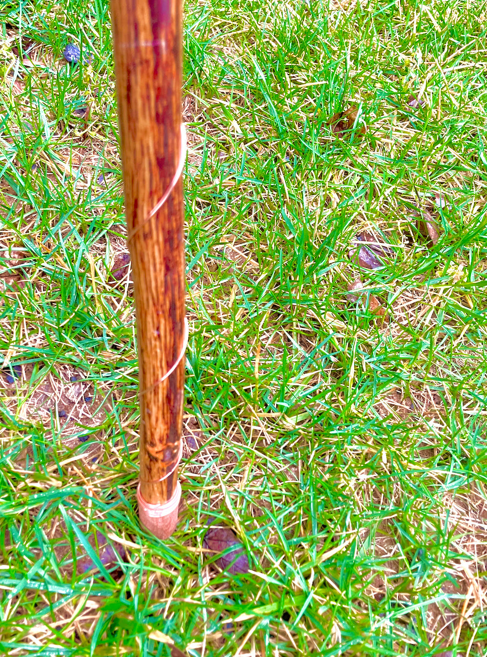 Stick In Ground Grounding Walking Stick: Ground Directly Through Your Hands ...