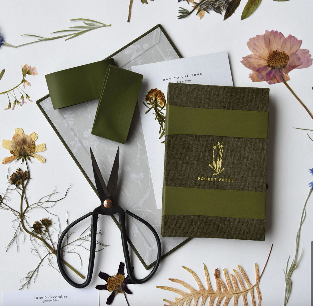 Nature's Treasures: Eco-Friendly Flower Press Perfect For Outdoor Grounding Lovers