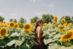 Nature's Rhythm: Spring, Summer, Fall & Winter Grounding Meditations