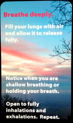 Dr. Laura's Daily Healing Focus Cards: A Daily Dose Of Health